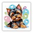 Cute Smiling Boy Yorkie w/ Heart Balloons