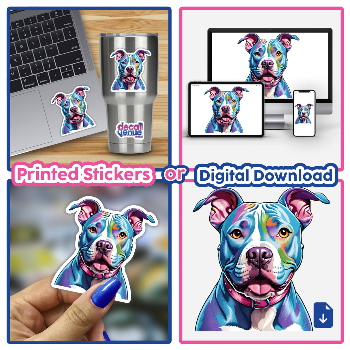 Vivid Pitbull