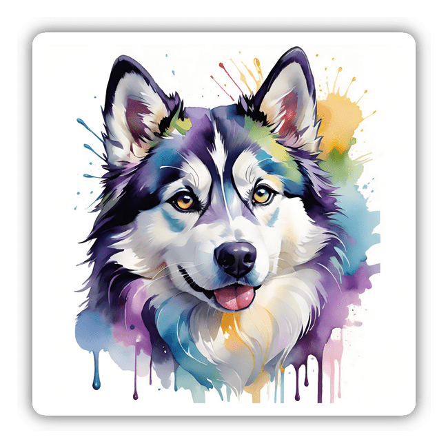 Colorful Husky Portrait