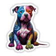 Color Patch Pitbull