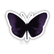 PURPLE AND BLACK BUTTERFLY
