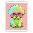 Adorable neon poodle with vibrant fur colors sitting on grass
