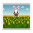 “Where to start fetching?” Bunny