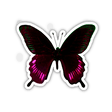 BLACK, MAGENTA, AND GREEN BUTTERFLY