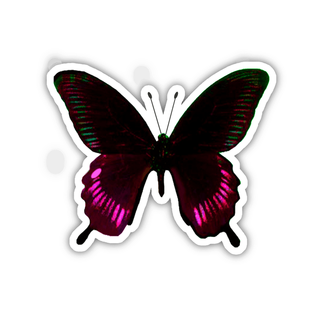 BLACK, MAGENTA, AND GREEN BUTTERFLY