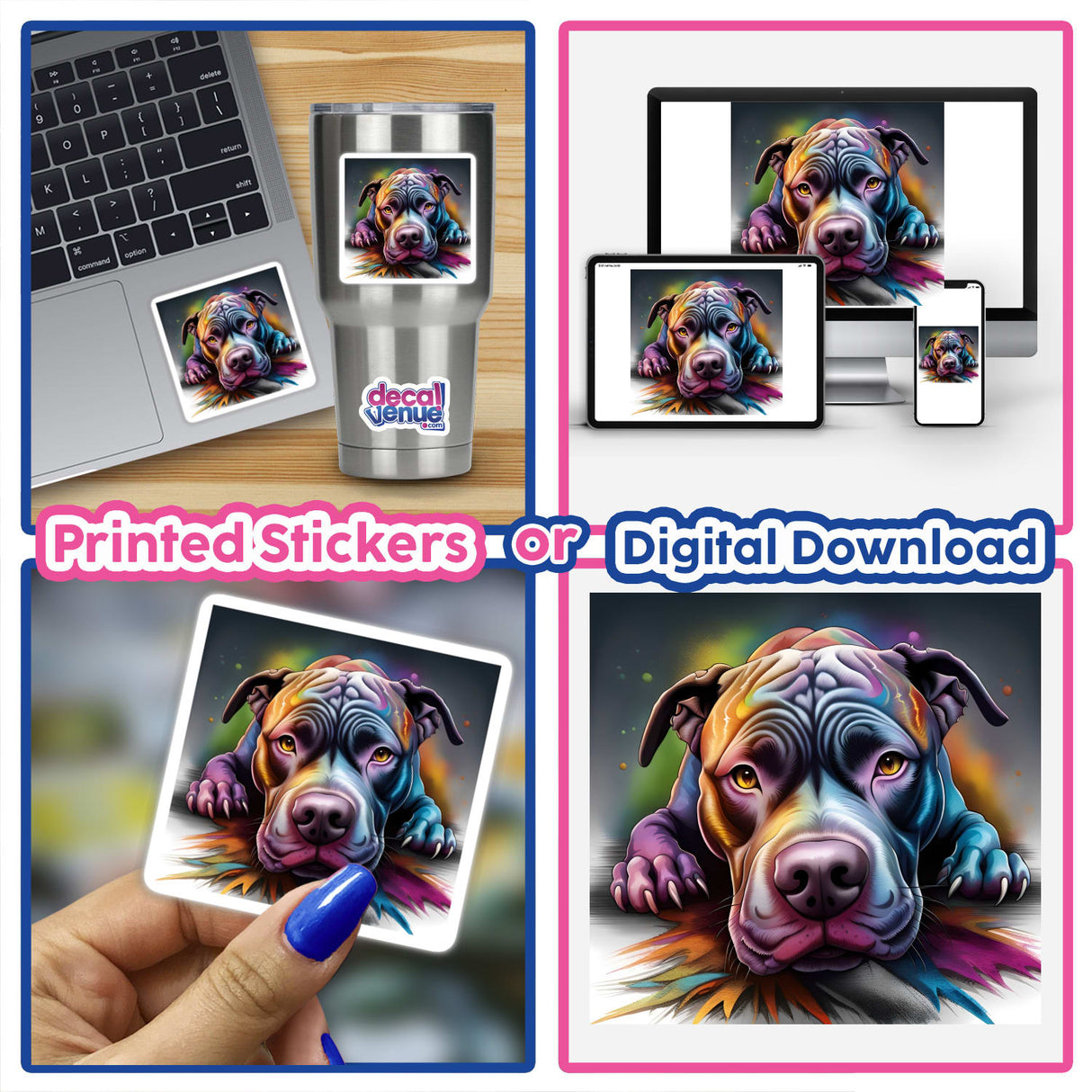 Looking Cute Colorful Pitbull