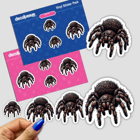 Realistic Tarantula Illustration