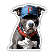 Pitbull Wearing Baseball Cap I