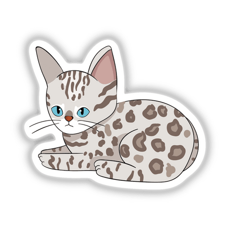 Bengal kitten cat