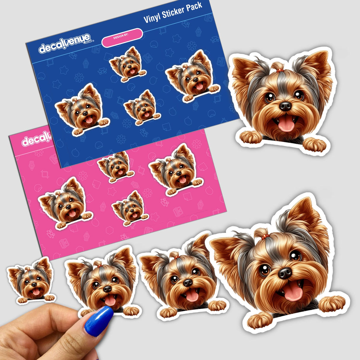 Peeking Boy Yorkie