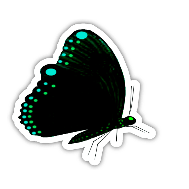 BLACK BUTTER FLY WITH GREEN SPOTS