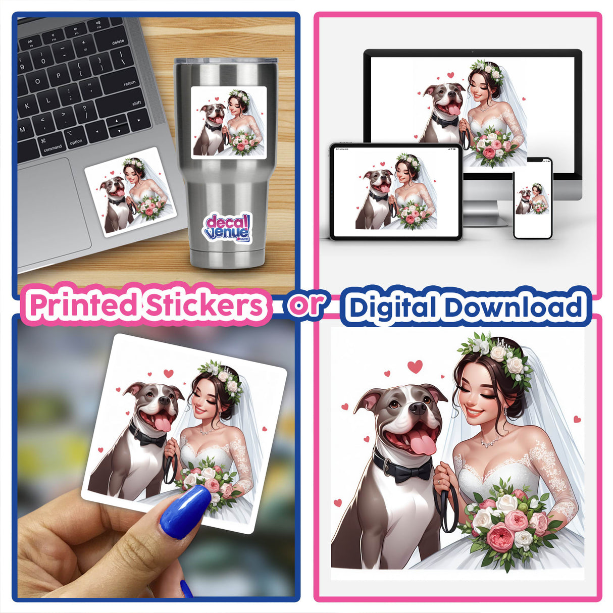 Happy Bride and Pitbull