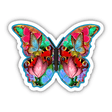 Colorful Butterfly