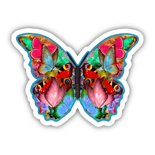 Colorful Butterfly