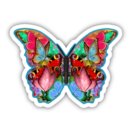 Colorful Butterfly
