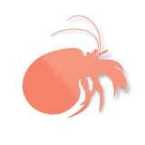 #color_coral