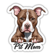 Peeking Pitbull with brown eyes, paws up, ideal for Pit Mom stickers or digital artwork.