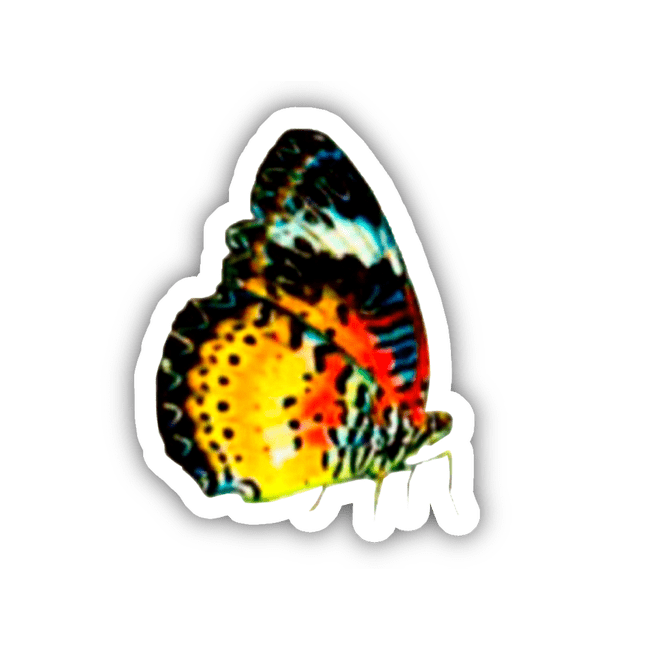 MULTICOLORED GLASS BUTTERFLY