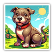 Friendly Pit Bull