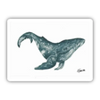 Humpback whale