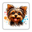 Crazy Yorkie Splatter