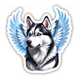 Husky Angel with Wings