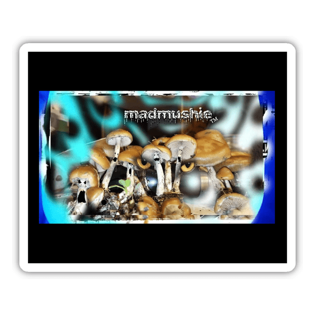 Mad mushie