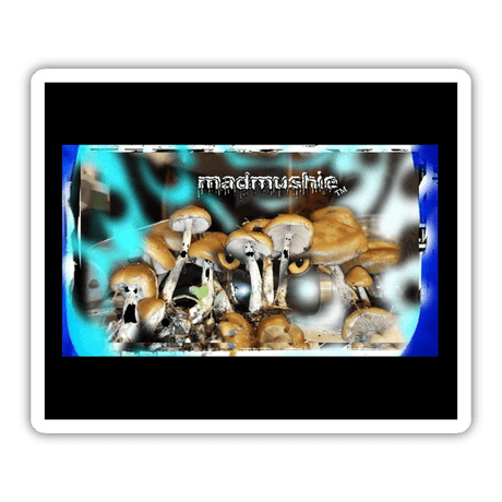 Mad mushie