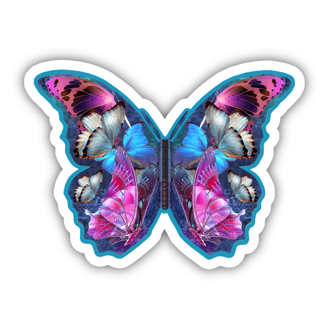 Colorful Butterfly 3