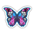 Colorful Butterfly 3