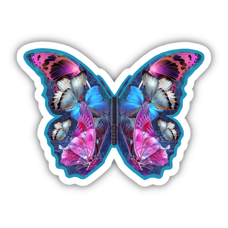Colorful Butterfly 3