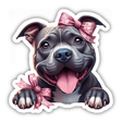 Happy Pitbull Wrapped in Bows
