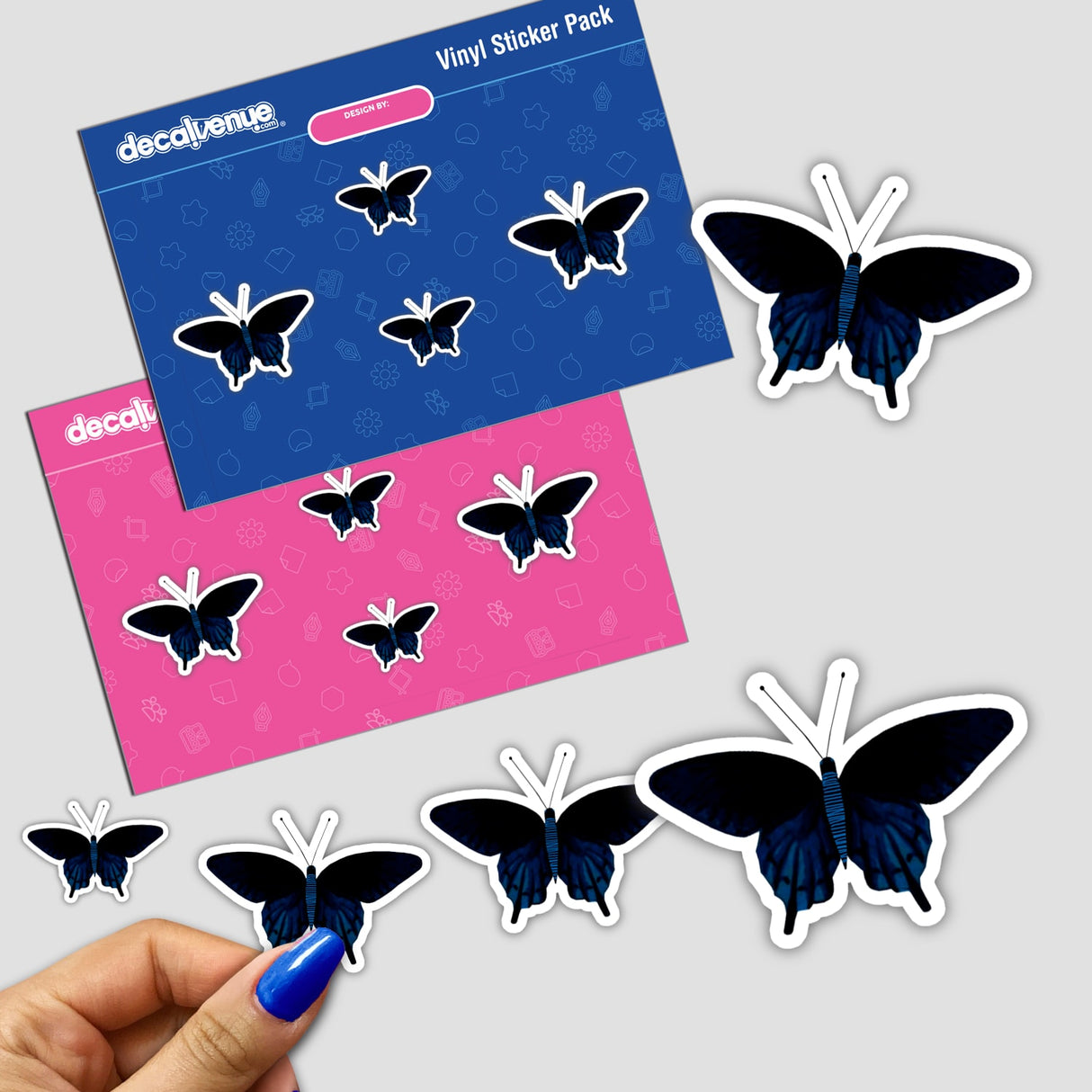 BLACK BUTTERFLY WITH BLUE STRIPES