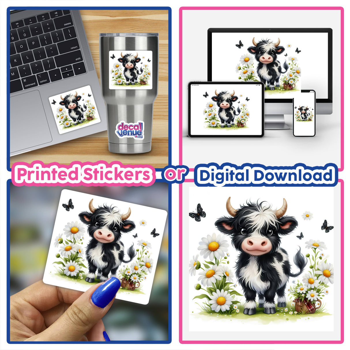 Highland Cow, Daisies and Butterflies