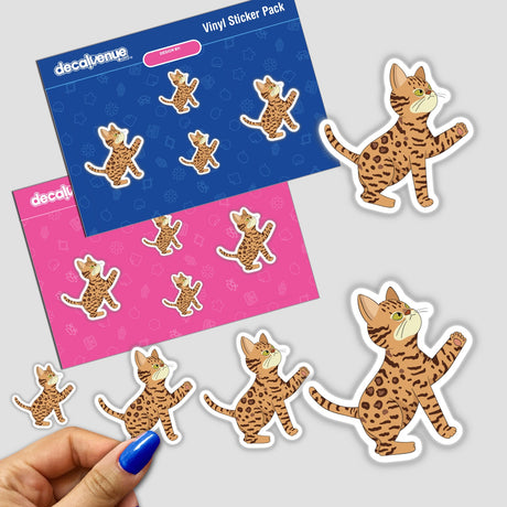 Bengal cat