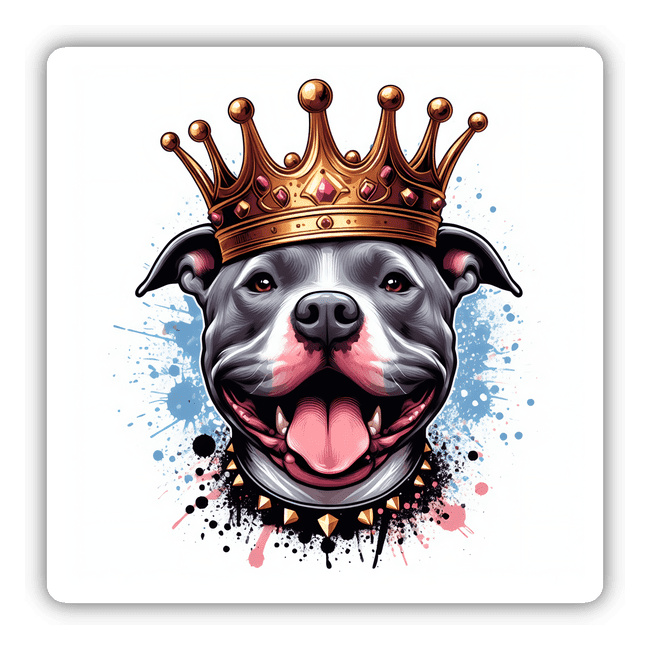 Gray Colored Pitbull King