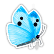 Light Blue Butterfly With Pale Blue Stripes