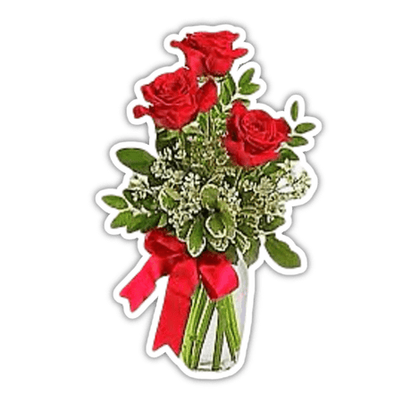 Two Red Roses in a Clear Glass Vase With Greenery