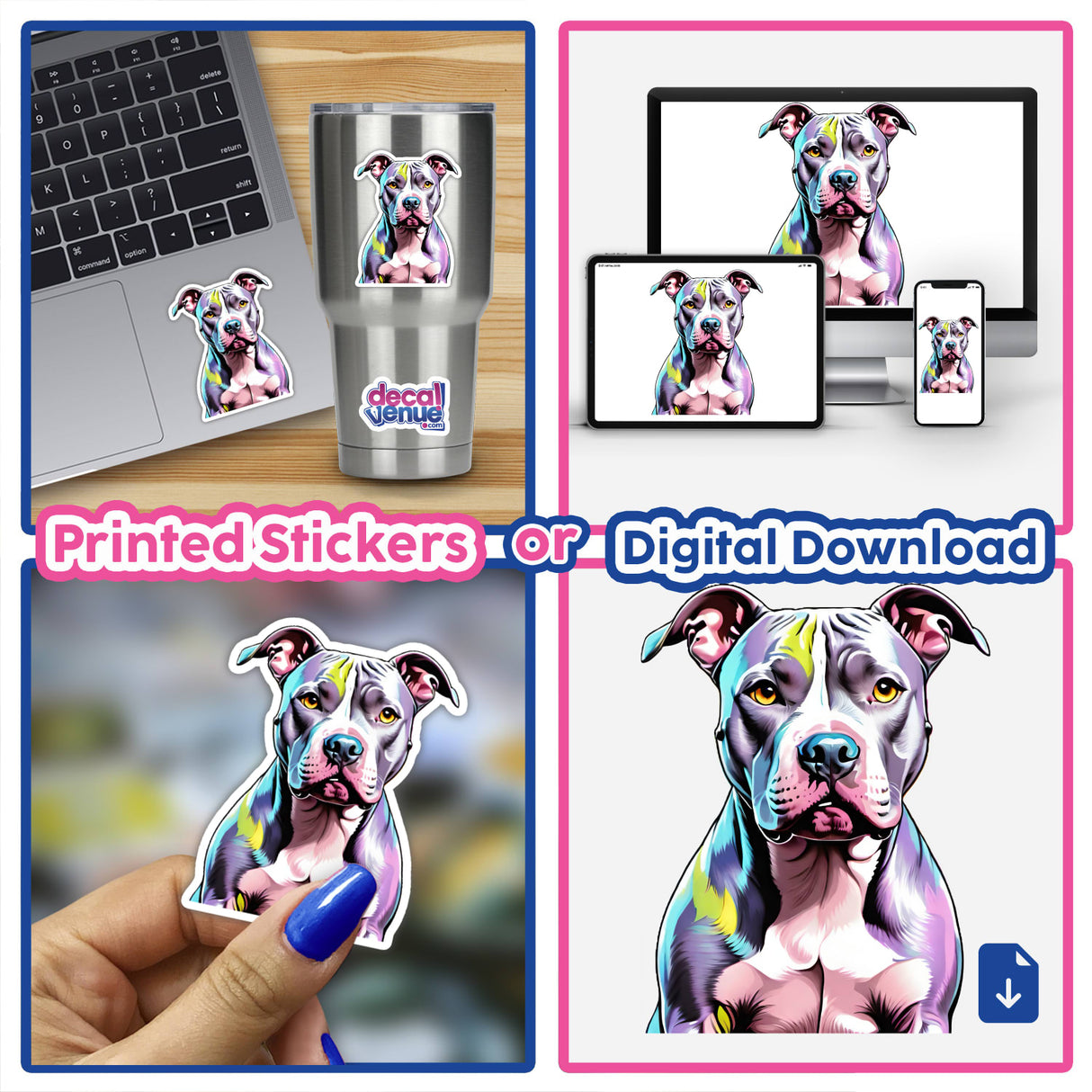 Lavender Infused Pitbull