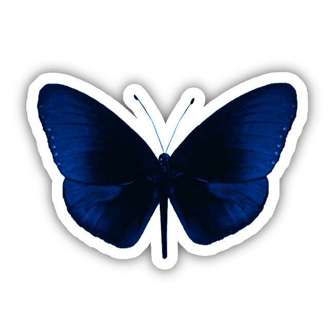 Blue Black Butterfly sticker or digital artwork featuring a blue butterfly with a white border.