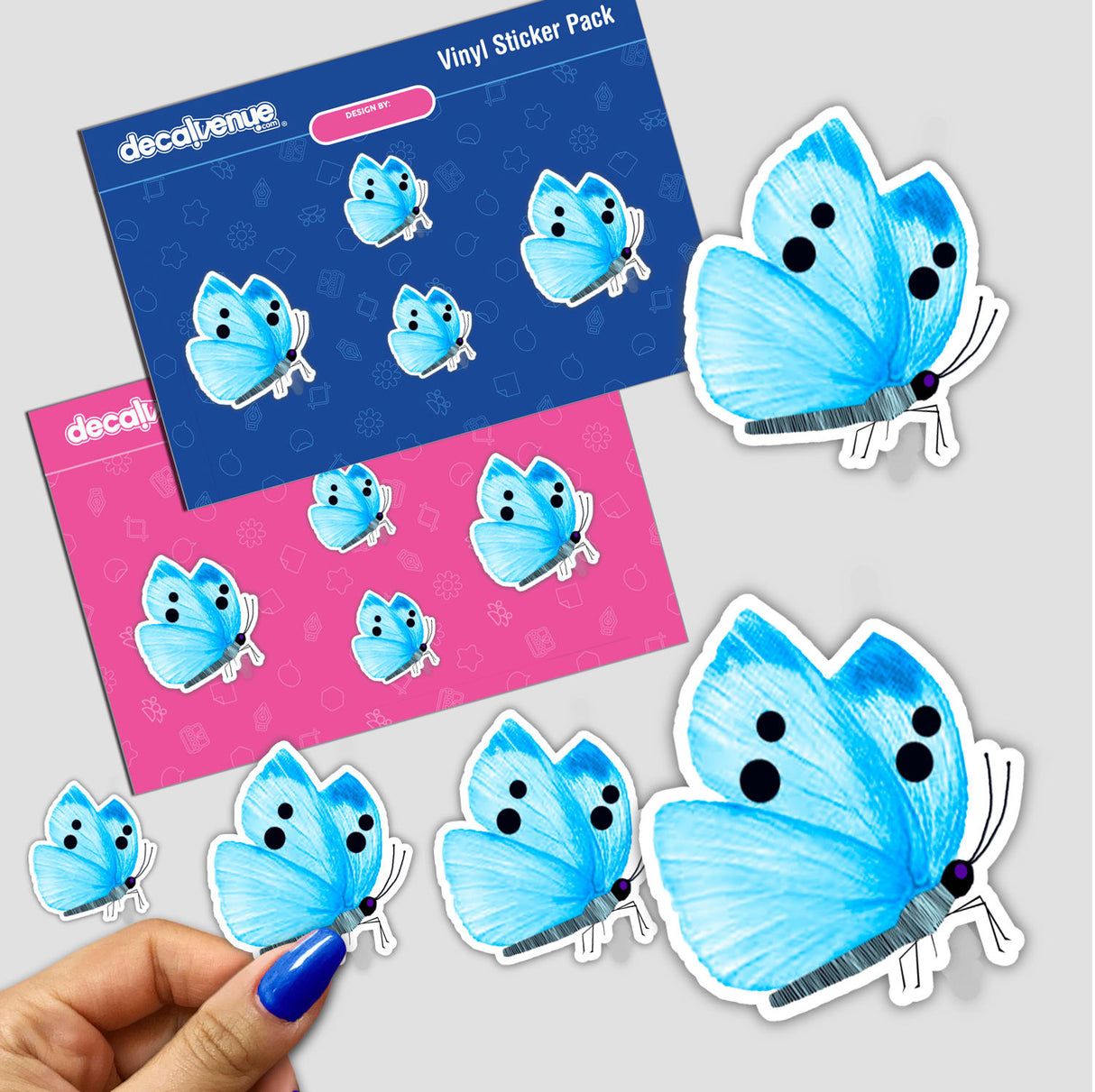 Light Blue Butterfly With Pale Blue Stripes