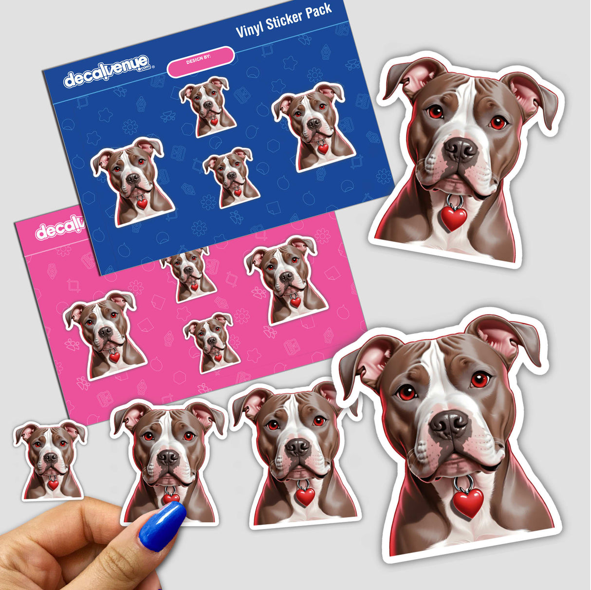 Pitbull with Heart Collar