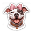 Happy Smiling Pitbull Face