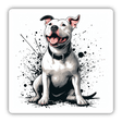 White Pitbull