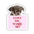 DOG HOLDING I LOVE YOU MARRY ME SIGN