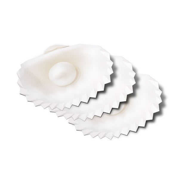 Pearl in Seashell Vinyl Bumper Stickers (3 Pack)