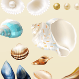 Beautiful Seashells and Pearls Set of 21 Decals [002] | Nature & Nautical | DecalVenue.com