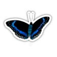BLACK, BLUE AND WHITE BUTTERFLY WITH CYAN STRIPES