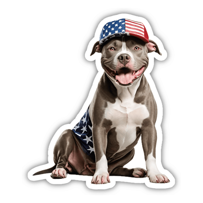American Flag Pitbull
