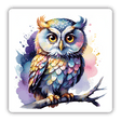 Owl on Branch w/ Splattered Pastels